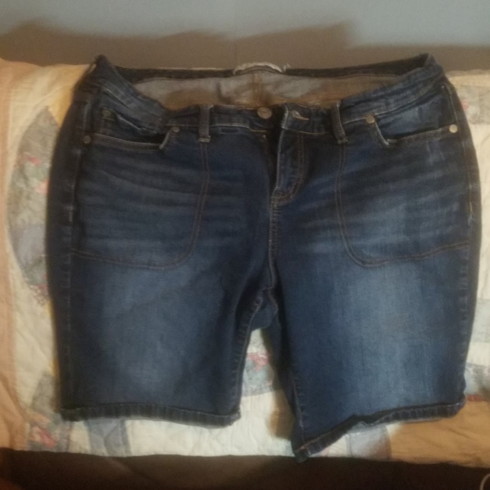 Torrid shorts